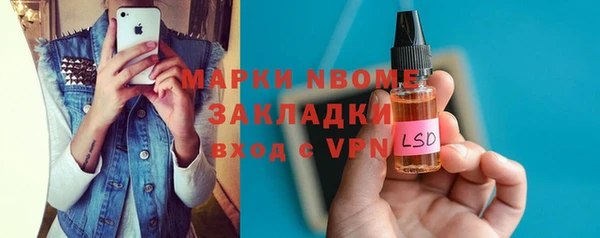 сатива Няндома