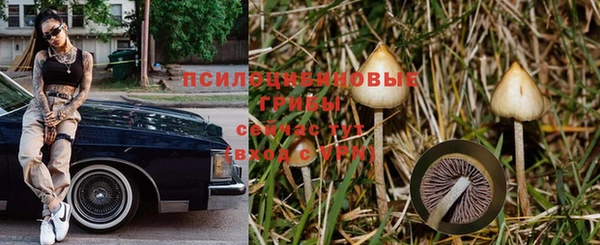 мескалин Аркадак