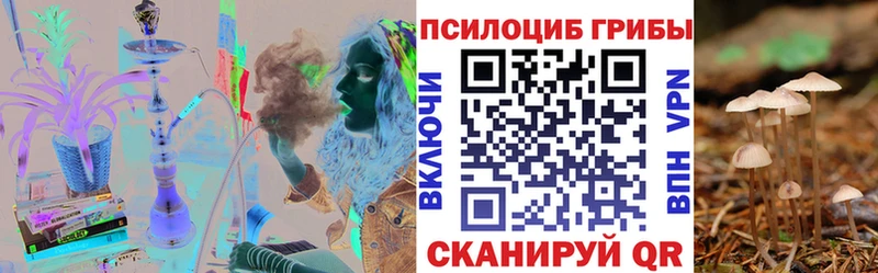гидра ссылки  Нижнеудинск  Галлюциногенные грибы Magic Shrooms 